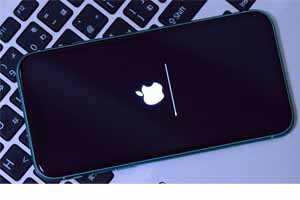 fake-or-real-iphone2